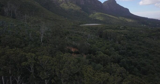 4K summer day aerial video of Cecilia Forest near Cape Town Constantia suburb. The forest is known for nature hiking trails and beautiful eucalyptus trees in Cape Peninsula, Western Cape, South Africa