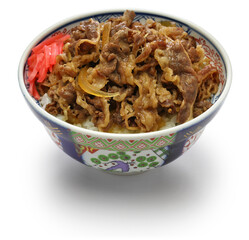 homemade gyudon, japanese beef bowl isolated on white background
