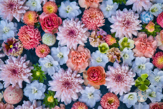 待ち受け Images Browse 2 0 Stock Photos Vectors And Video Adobe Stock