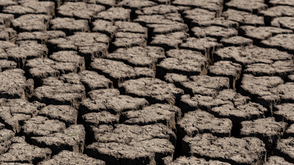 Earth cracked because of drought. The global shortage of water on the planet. Global warming concept. Dry cracks in the land.