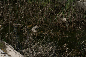 Garbage, abandoned petrol barrels in marble quarry