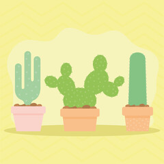 gruop of three cactus icons