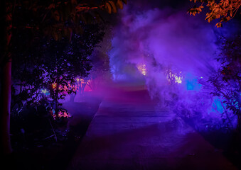 Vivid Colors Blurred by Fog and Lighting in a Garden