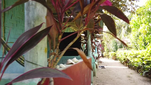 Slow motion swing from a guest house sleeping  hut for rent with a hammock concrete wall reed panels and corrugated iron roof to the row of huts and the well maintained green garden around