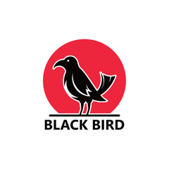 Fototapeta na wymiar Black bird logo template design
