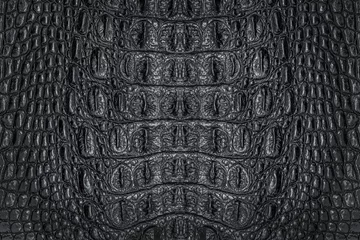 Poster Im Rahmen Black crocodile leather texture for background © prapann