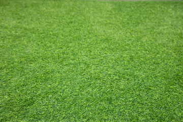 Top view and close up shot of long grass lawn which is in garden and sport stadium (soccer,...