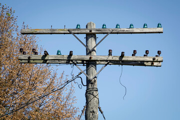 Old Telephone Pole with Glass Insulators against a Blue Sky
