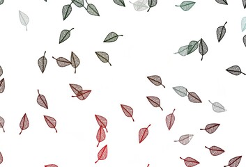 Fototapeta premium Light Green, Red vector hand painted pattern.