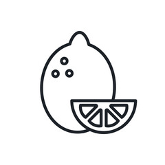 Lemon icon. Vector linear icon, contour, shape, outline isolated on a white background. Thin line. Modern minimalistic design. Fruits.