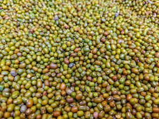 Green and golden colored mung beans close up view