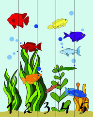 preschool education is the development of the game tropical fish