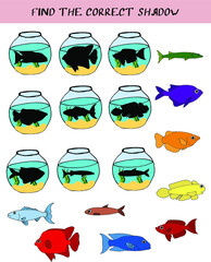 preschool education is the development of the game tropical fish