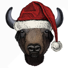 Vector bison head. Christmas red Santa Claus hat. Portrait of bull, buffalo. © helen_f