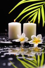 spa still life with reflection of with two 
white frangipani and green palm and zen black stones ,wet background
