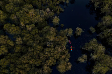 Aerial view of Travel Kayaking, Travel Paddling Transparent Canoe Kayak in peat swamp forest wetlands in evening time.