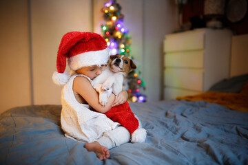 Cute Funny toddler child in red Santa hat holding embrace puppy Jack Russell, funny New Year's photo of children and puppies, Christmas gift, dream about pet, puppy and child communications