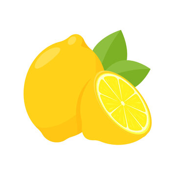 Vector yellow lemon fruit with sour taste for cooking and squeezing to make healthy lemonade