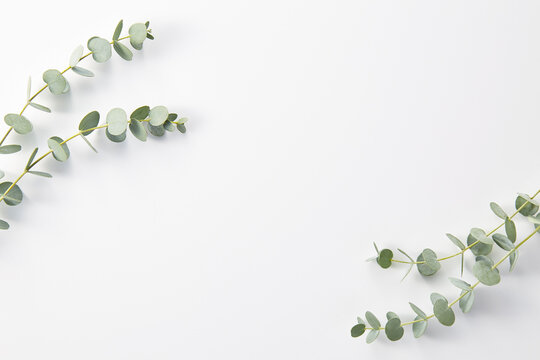 funny face photos, images, assets Adobe Stock