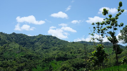 Green hill landscape