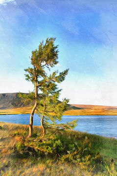 Beautiful tundra landscape with river and lonely tree at Polar Urals