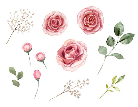 薔薇の花と葉っぱの素材　水彩イラスト