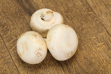 Raw Champignon heap for cooking