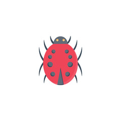 lady bird