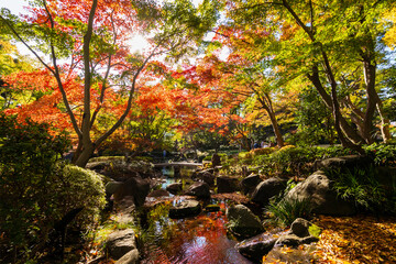 杉並区立大田黒公園の紅葉