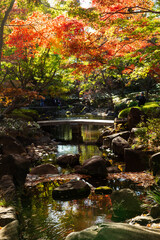 杉並区立大田黒公園の紅葉