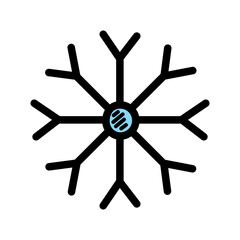 Obraz premium snowflake