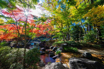 杉並区立大田黒公園の紅葉