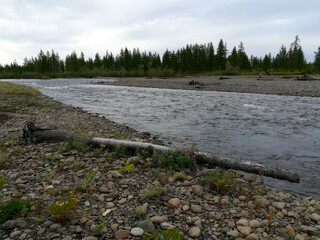 river  Valek in the tundra