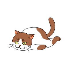 vector graphics illustration of cute cat animal lying down