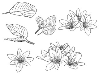 Flowers Line Art Arrangements. You use on greeting card, frame, shopping bags, wall art, wedding invitation, decorations, and t-shirts