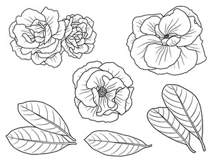 Flowers Line Art Arrangements. You use on greeting card, frame, shopping bags, wall art, wedding invitation, decorations, and t-shirts