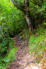 Fototapeta premium Hike on the long-distance hiking trail. Narrow path at the hillside