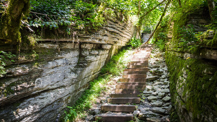 Old stone stairs leading to jungle