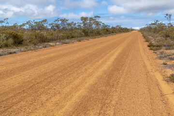 Fototapeta na wymiar straight dirt road in the Fitzgerald River Nationalpark west of Hopetoun, Western Australia