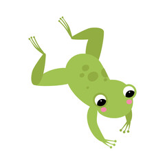 Cute Green Frog with Protruding Eyes Jumping Vector Illustration