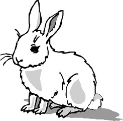 rabbit with a carrot