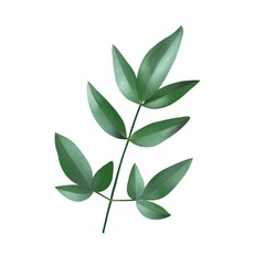 ナンテン　線画なし