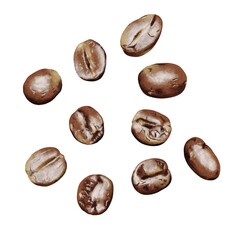 コーヒー豆　10粒　線画なし