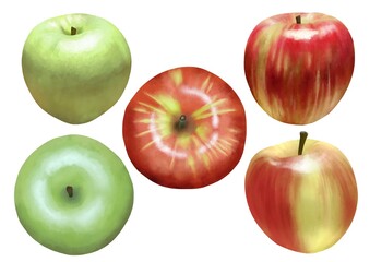 リンゴセット　青リンゴ　線画なし