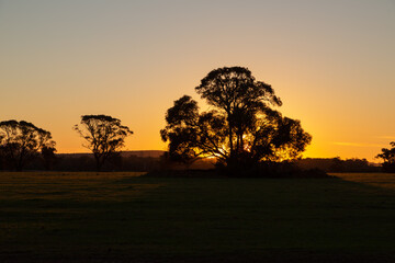 Naklejka na ściany i meble Sunset in the Stirling Range National Park, Western Australia