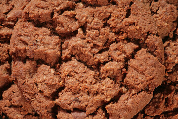 Chocolate cookie texture/baked