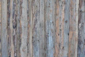 Obraz premium Natural background from a simple fence made of old rough wooden planks with the texture of unsmiled wood.