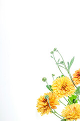 Flowers composition from chrysanthemum flowers