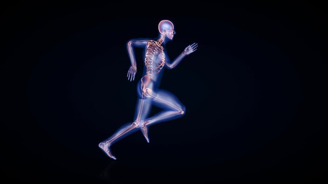 Athlete running seamless loop, x-ray render, black background