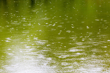 Rain drops on the lake surface